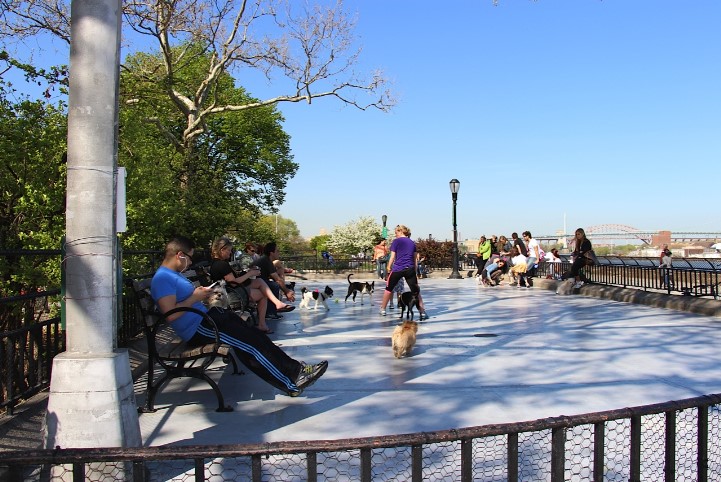 carl schurz small dog run dogtown app archival 1