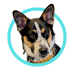 DogPark Near Me Logo