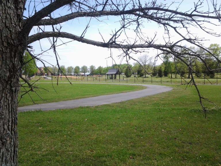 hannah bark park thomas mcgehee 2014 2 768x576