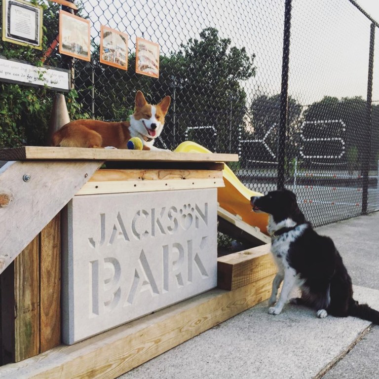 Archival 2017 photo of dogs at the Jackson Bark sign in Chicago